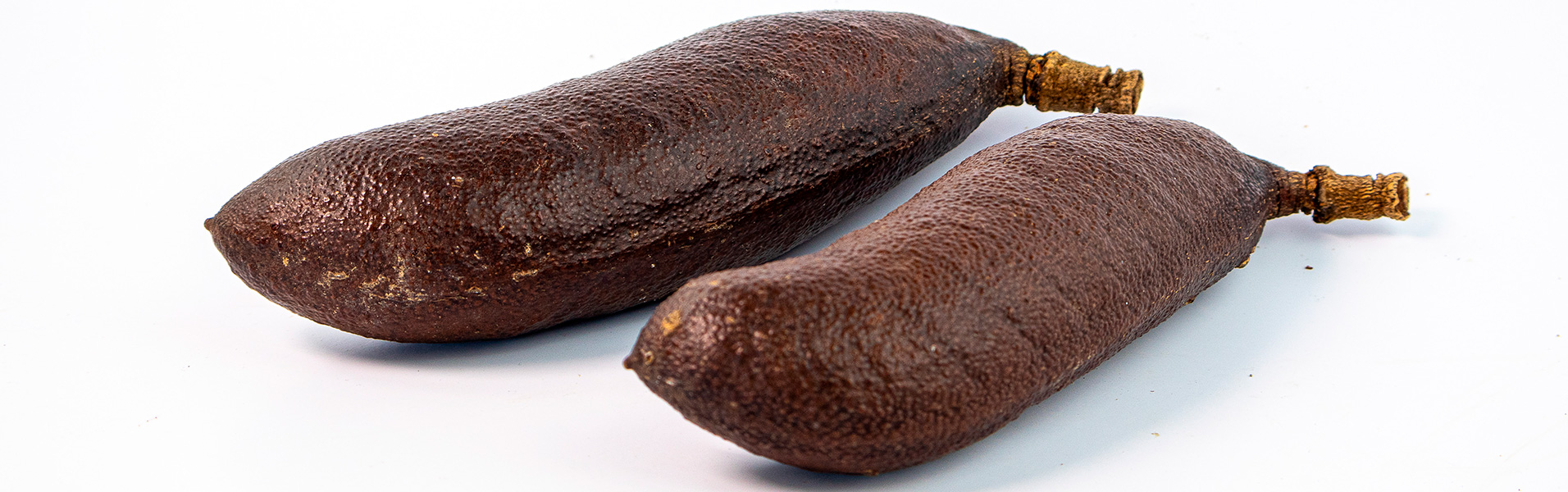 Instituto Jequitibá-Borá